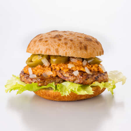 スパイシーバーガー｜一宮でピザ・ハンバーガーのデリバリー・テイクアウトならPizzBurg一宮Way